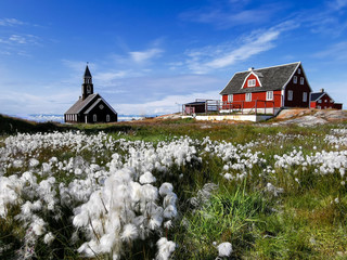 Greenland Ilulissat Zion Church in sunset with flowers