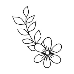 cute flower with branch and leafs vector illustration design