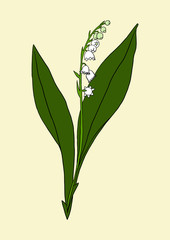 Maiglöckchen Comic Illustration Frühling Blume