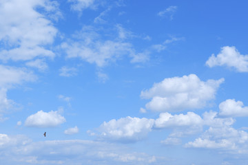 神奈川県横浜市 みなとみらい周辺の風景