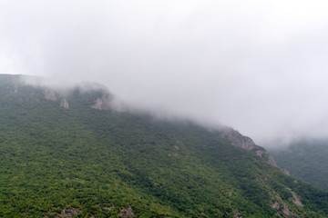 fog over the mountains
