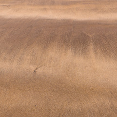 Abstract sand patterns