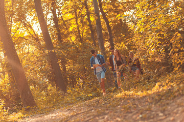 Fototapeta premium Group of four friends having fun hiking through forest together.
