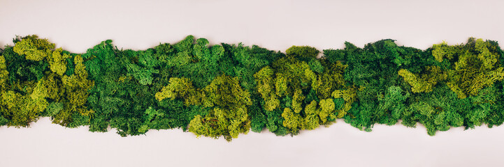 Banner made with dark green moss with copy-space on a grey background. Zero waste concept. Flat lay style.
