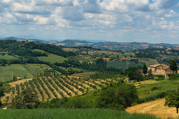 Rural landscape near Monterubbiano, Marches, Italy