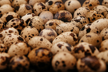 Obraz premium many quail eggs, easter pattern. selective focus, film and grain photo