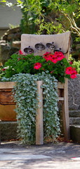 Moderne Gartengestaltung (Detail) mit Pflanzen, Blumen und Granitsteine samt Gartenbeleuchtung