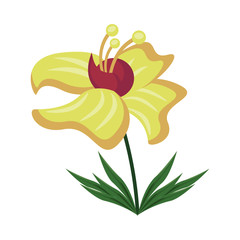 exotic and tropical flower nature icon