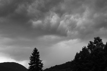 Vista in collina con cielo molto nuvoloso e pino