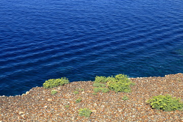 Particolare del mare, colore e blu, piccole onde e vegetazione tipica marina