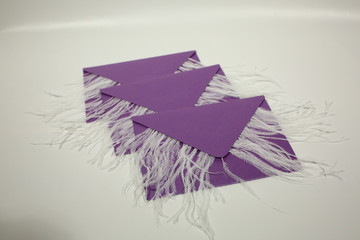 Elegant gift certificates with feathers in purple envelopes on a wooden background.
