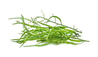 Raphanus caudatus on white background