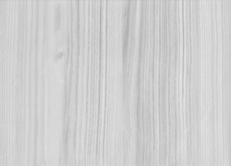 Fototapeta premium A Grey wooden texture with natural patterns. Design for floor, walls, cases, bags, foil and packaging