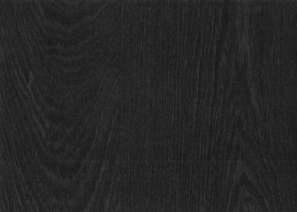 A Grey wooden texture with natural patterns. Design for floor, walls, cases, bags, foil and packaging