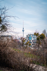 view of Berlin television TV tower from Mauer Park - Berliner Fernsehturm