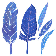 Tropical leaves hand-drawn in gouache in blue and pale blue tones with veins in high resolution. Tropical leaf clipart for decor