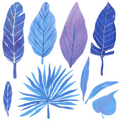 Fototapeta na wymiar Tropical leaves hand-drawn in gouache in blue, pale blue and pale lilac tones with veins in high resolution. Tropical leaf clipart for decor