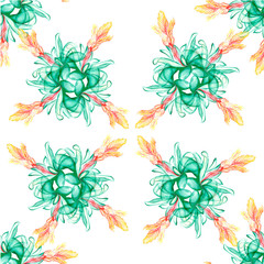 Beautiful tropical flower botany art illustration