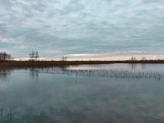 The natural area of ​​Punte Alberete near Ravenna, Italy
