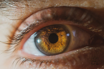 ojo macro 