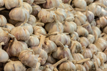 garlic on the market