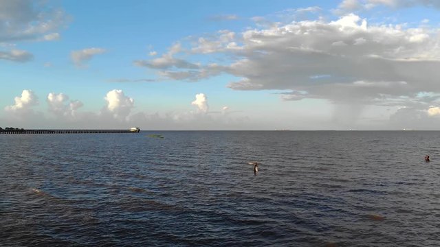 Drone shot of Beautiful Amazon river in Brazil