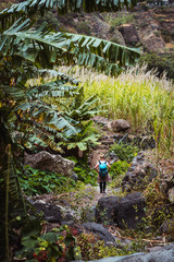 Female hike the lush canyon full of exotic vegetation. Plenty of tropical fruit trees, sugar cane growing up on the mountain slopes on Santo Antao island Cape Verde