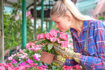 Smiling florist holding pot of flowers