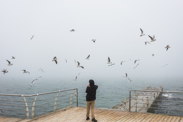 People feeding hungry birds at seashore in winter.