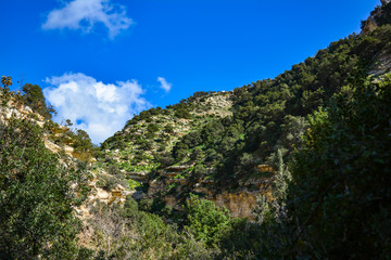 Fototapeta na wymiar sheer cliffs covered with greenery against a blue sky