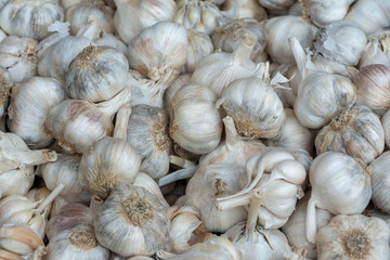 dried garlic on market