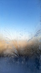 Frosty pattern on the window glass.