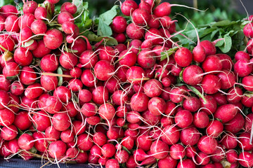 radishes in the market