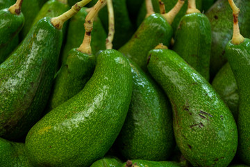 avocado on market