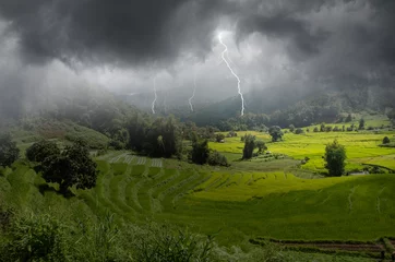 Fotobehang Dangerous lightning over the forest in the valley © athapet