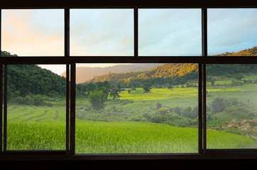 House in terrace field near the forest in window view