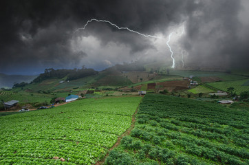 Strong lightning storm over vegetable farm on the mountains