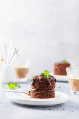 Chocolate mini cake with chocolate ganash and mint