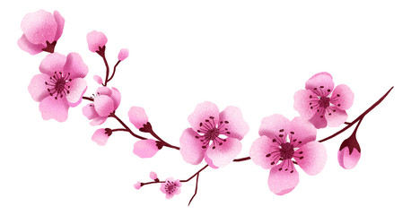 Naklejka na ściany i meble Hand drawn isolated cherry blossom branch. Sakura flowers illustration clipart. Sakura slossom. Botanical illustration. Floral arrangement. 