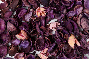 Background from of purple and pink dry flowers, leaves and petals on white background. Colorful background image. Top view. Flat lay. Copy space. Art concept. Color trends 2020. Abstract textures