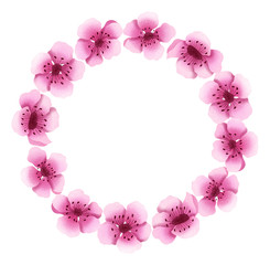 Hand drawn isolated cherry blossom wreath. Sakura flower illustration composition. Sakura blossom wreath. Botanical illustration. Floral arrangement circle frame. 