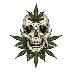 Skull with marijuana leaves. Rastaman skull with cannabis leafs and spliff