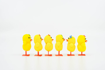 Cute yellow model chicks in a line facing one way with one exception facing the wrong way