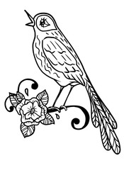outline drawing of a stylized cute Nightingale