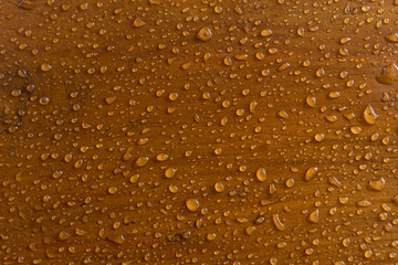 water drops on a glass