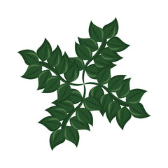 branch with ecology leafs foliage nature icon
