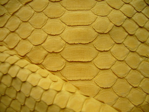 The texture of genuine leather with scales. Yellow leather for clothes, bags.