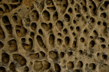Sandstone with holes by weathering and erosion. Weathered sandstone texture background
