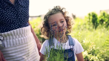 Portrait of small girl standing in the backyard garden, holding potted plants. - Powered by Adobe