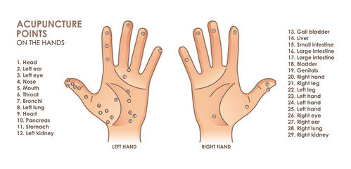 Acupuncture points on the hands. With description of the corresponding Internal organs and body parts. Alternative medicine